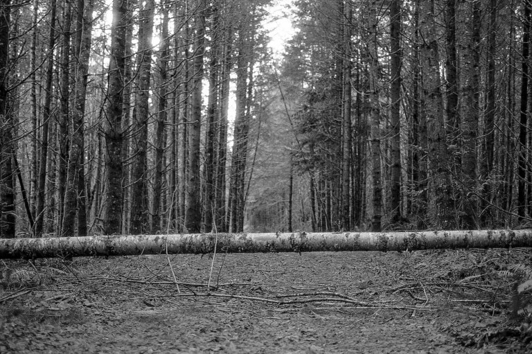 2518 F4 40 Fomopan 100 Olympia 912