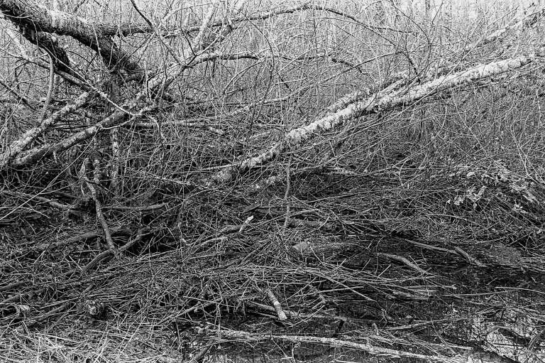 2918 TX400 Washington F4 40mm F2 025