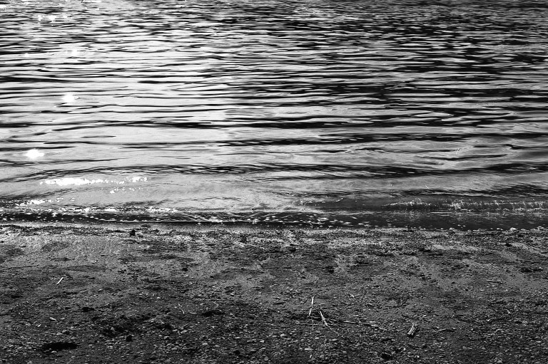 51418 CMS20 II F4 ORWA 433-Edit-2