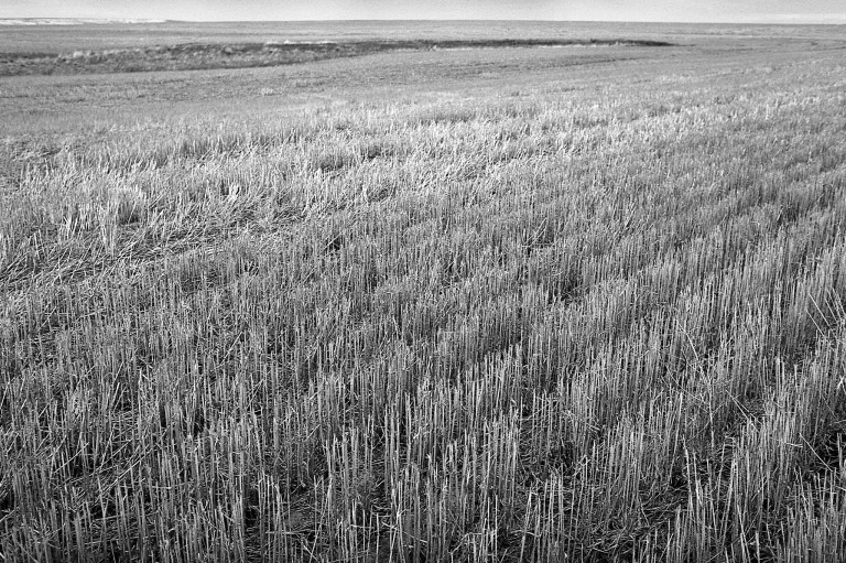 51418 CMS20 II F4 ORWA 461-Edit