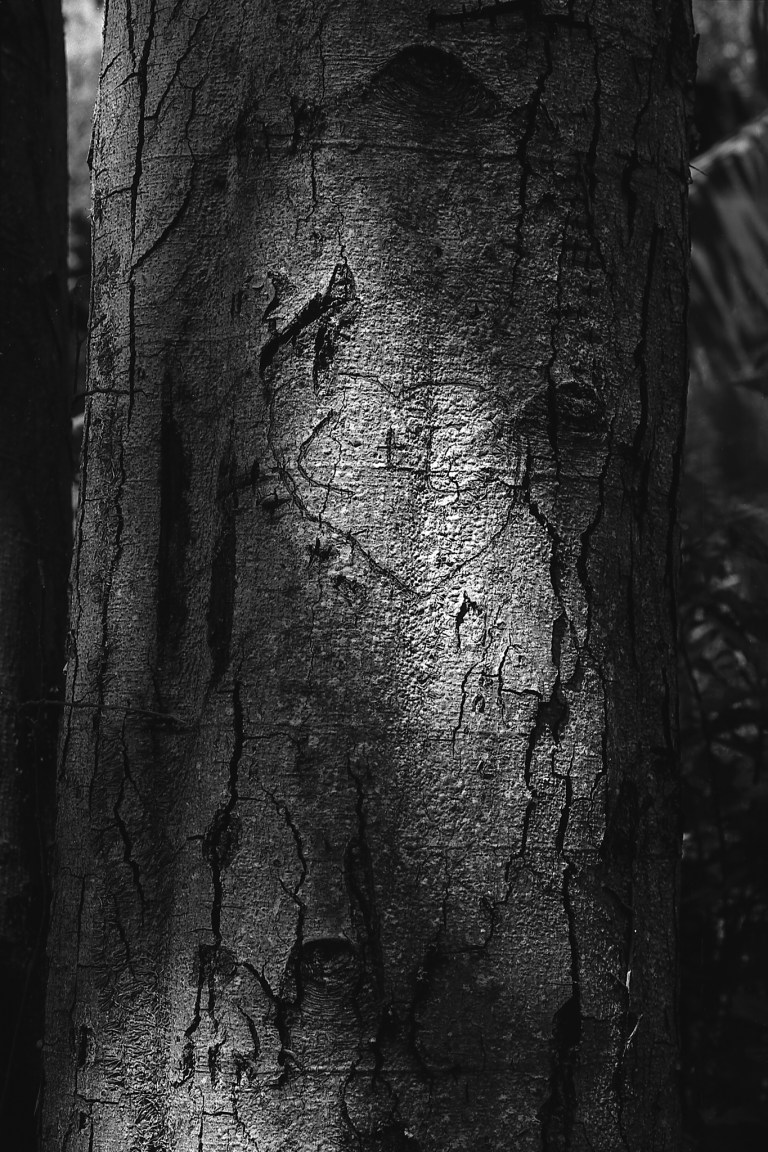 5518 CMS20 AdoIII Seattle F4 195-Edit