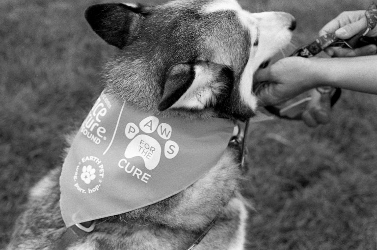 6118 HP5 Seattle FM2 50f2 551-Edit