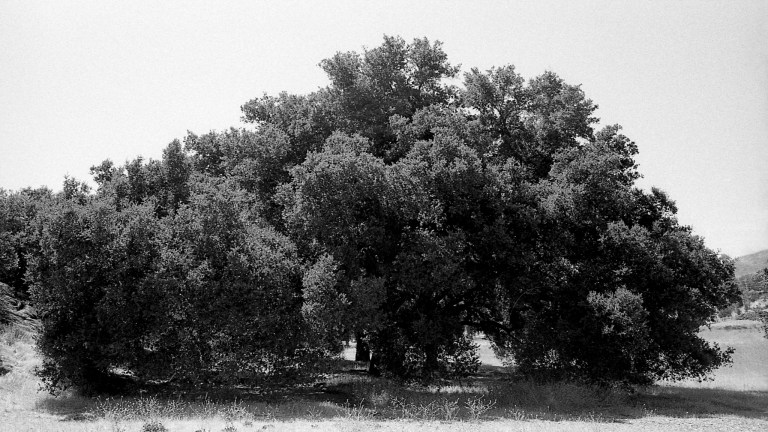 6218 LA 400TX FM2 581-Edit