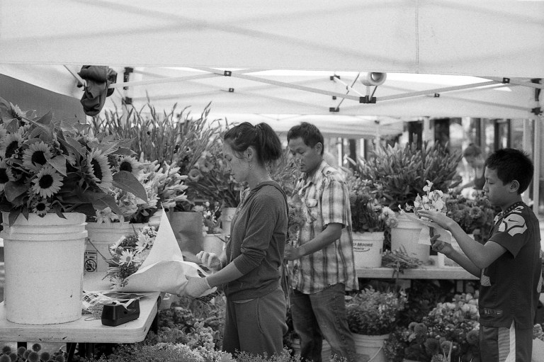 7518 FP4plus Seattle Nikomat 5014S Ballard 025-Edit