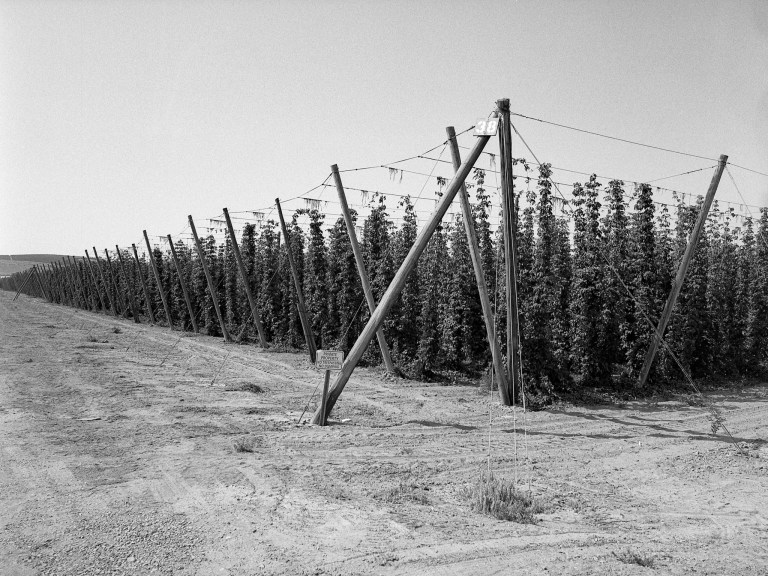 71218 400TX200 645N C WA 210-Edit