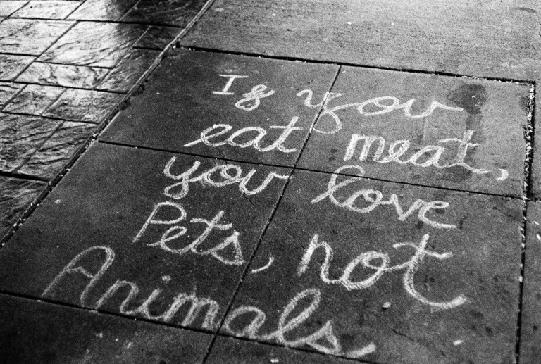 8518 R3M 50SC Olympia 017