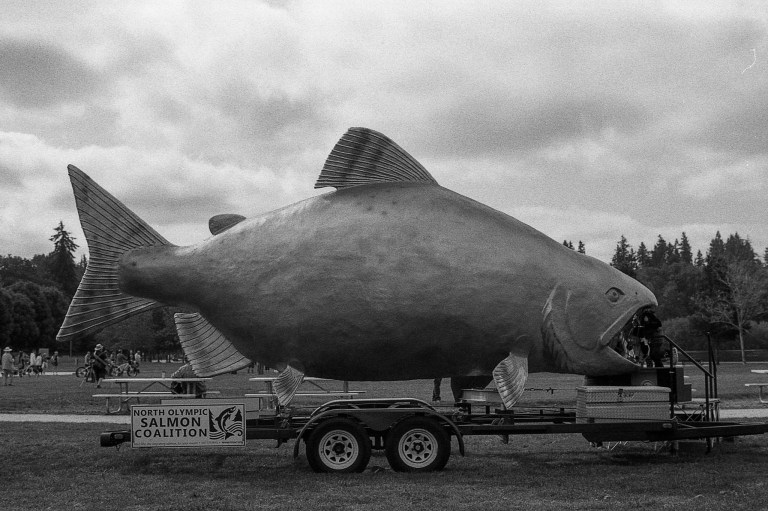 9118 Fomopan 400 Nik El 50Auto Olympia 371-Edit