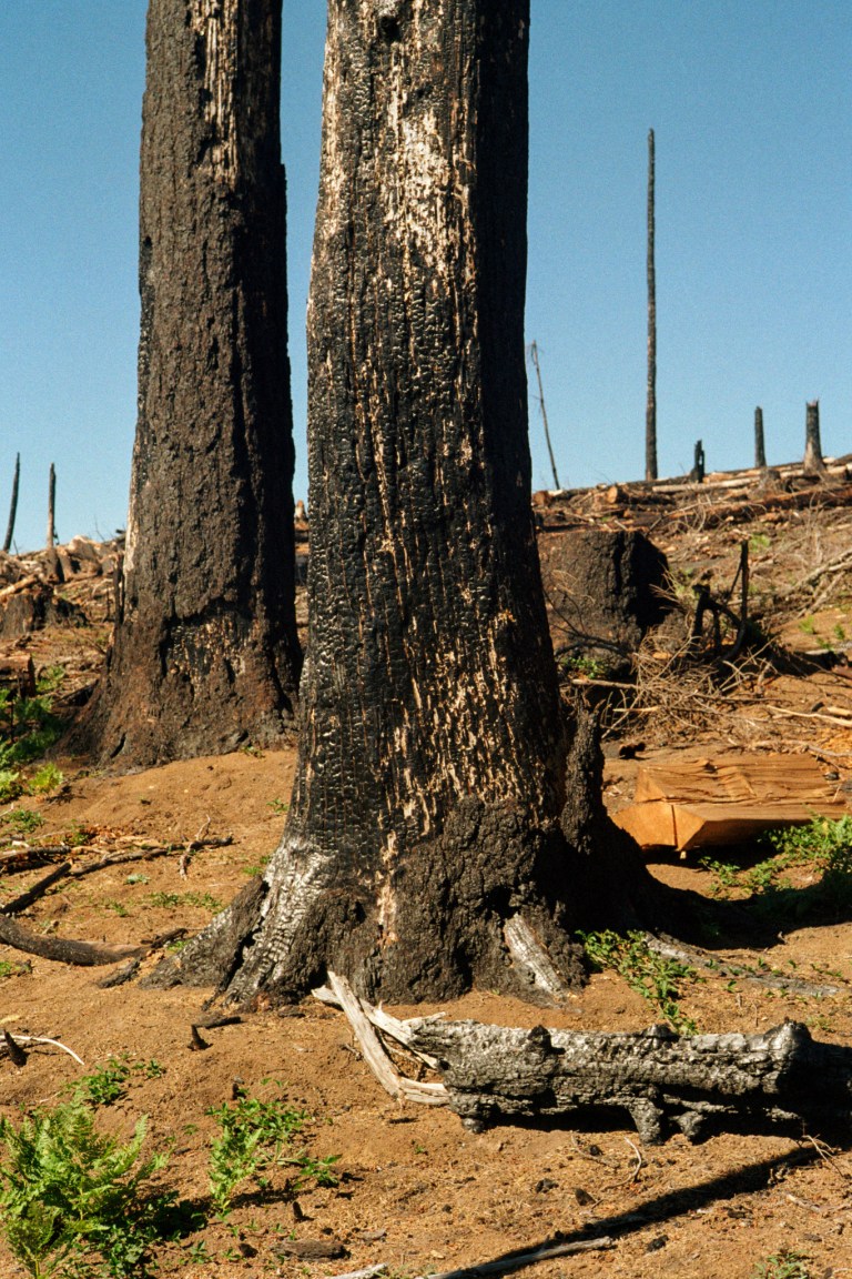 91218 ColorPlus200 R3M50S OR 014