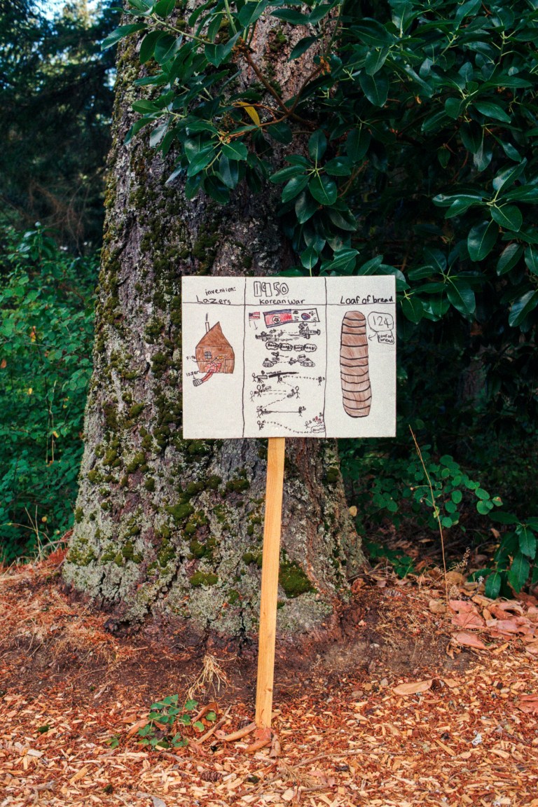 91318 ColorPlus200 R3M50S OR 018