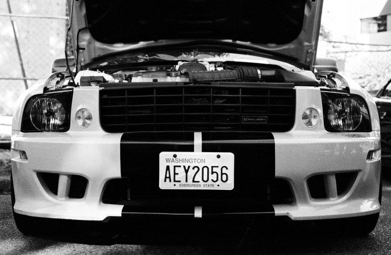 91618 JCH Mustang F4 55M Lacey 004-Edit