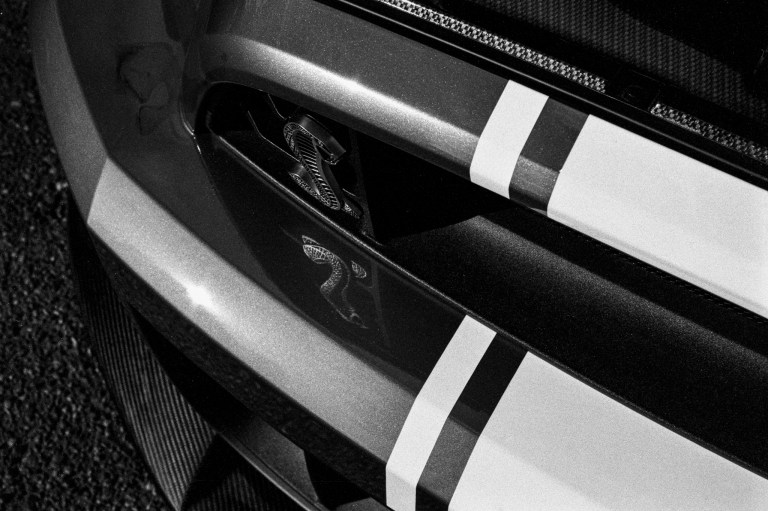 91618 JCH Mustang F4 55M Lacey 009-Edit