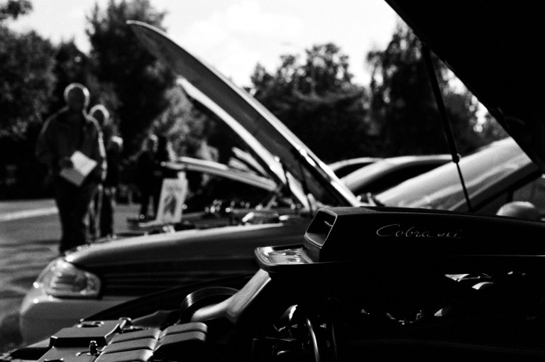 91618 JCH Mustang F4 55M Lacey 015-Edit