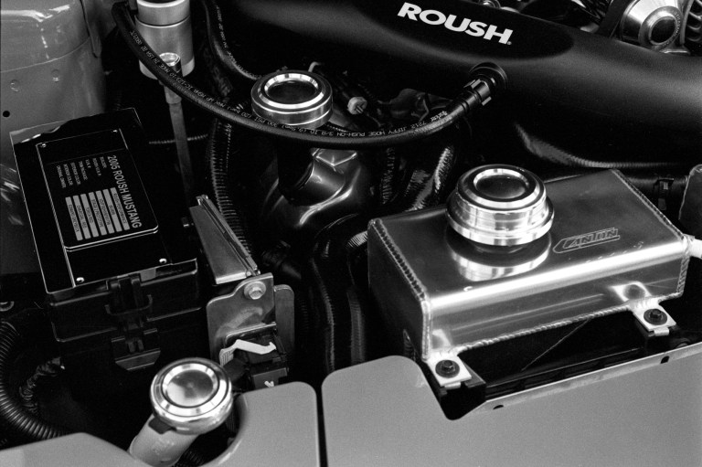 91618 JCH Mustang F4 55M Lacey 025-Edit