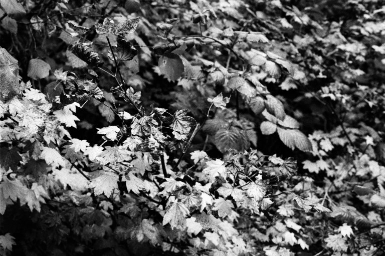 9918 HP51600 FM2 55Micro 013-Edit