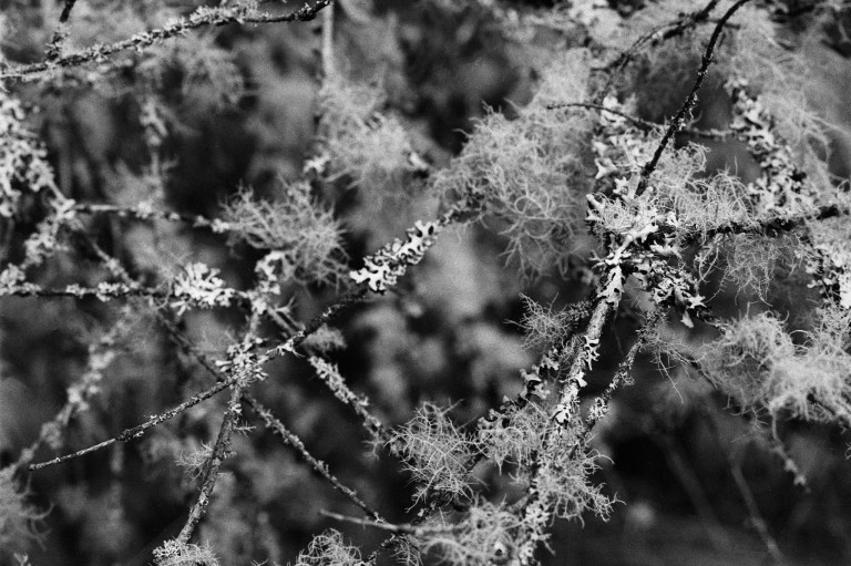 9918 HP51600 FM2 55Micro 014-Edit