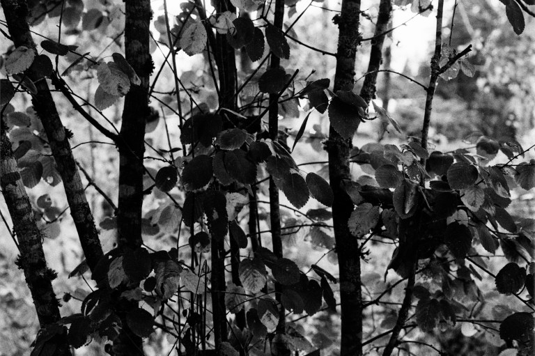 9918 HP51600 FM2 55Micro 018-Edit