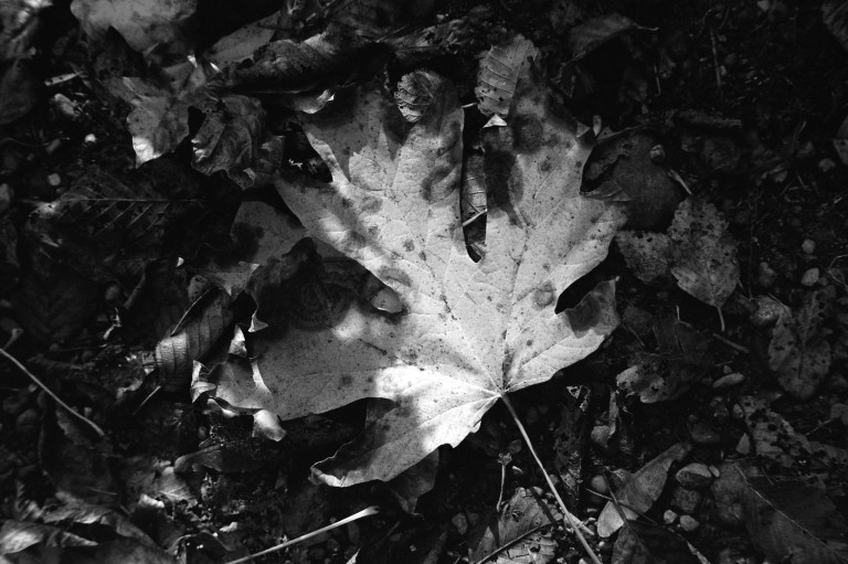 101318 400TX345 7A50 R3M CF E 065-Edit