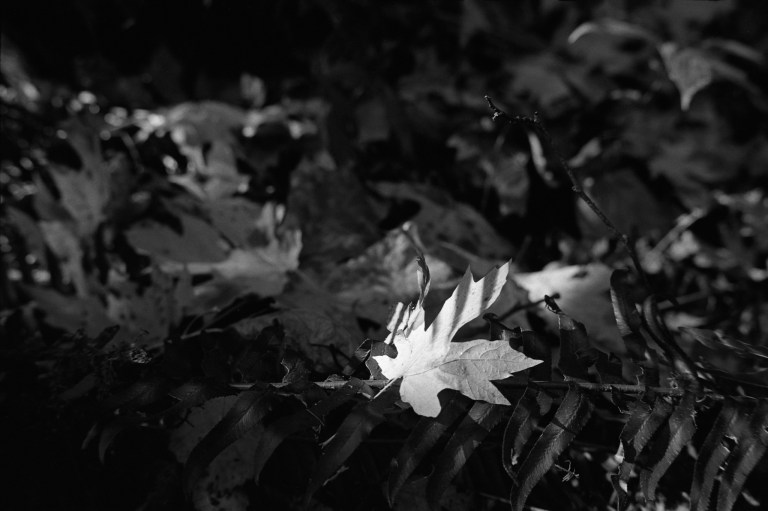 101318 400TX345 7A50 R3M CF E 068-Edit