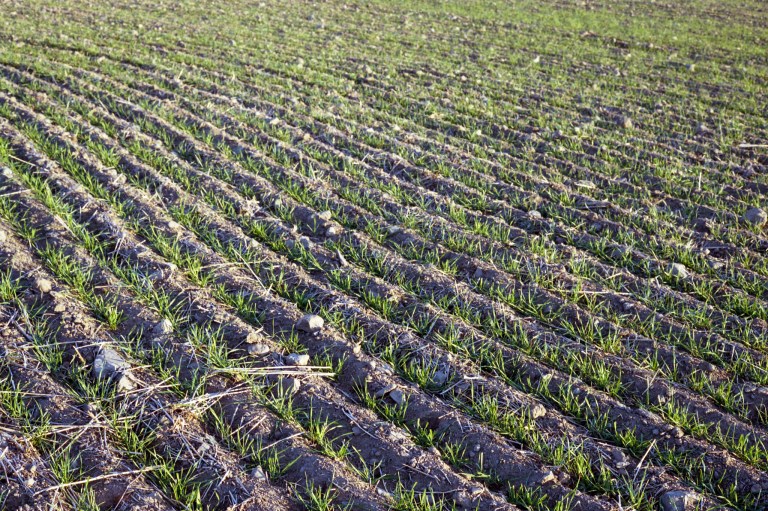 10718 Lomo400 FM2 28 55 EWA 096