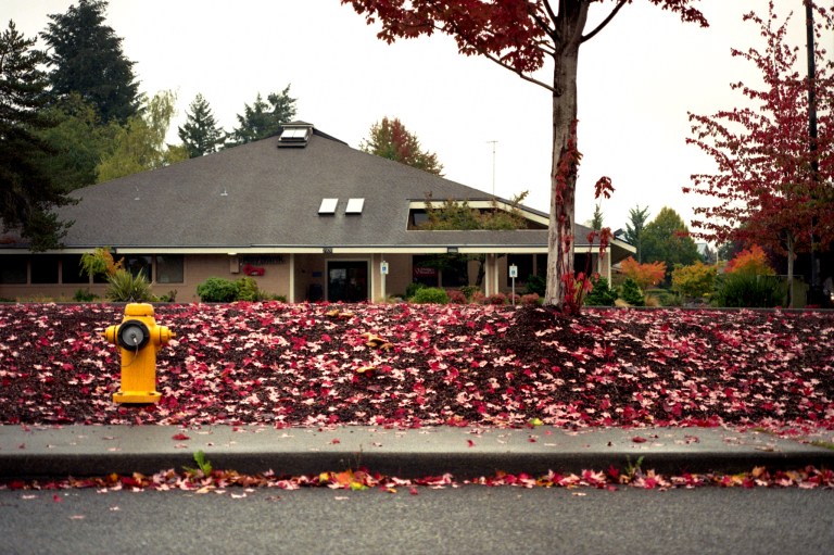 10718 Lomo400 FM2 28 55 EWA 120-Edit