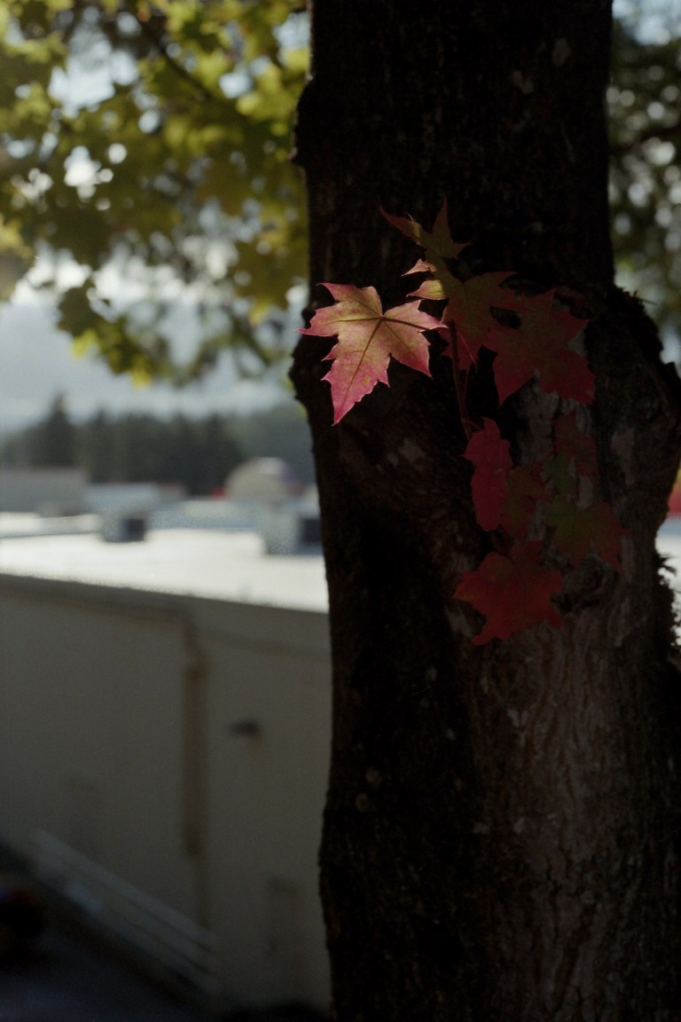 10718 Lomo400 FM2 28 55 EWA 128-Edit