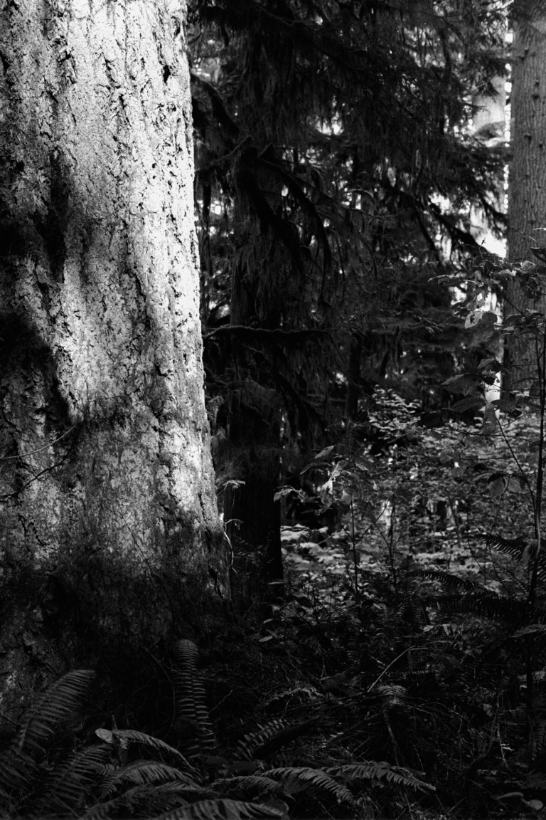 10918 Olympia 400TX NikEL Auto 50 1.4 028-Edit