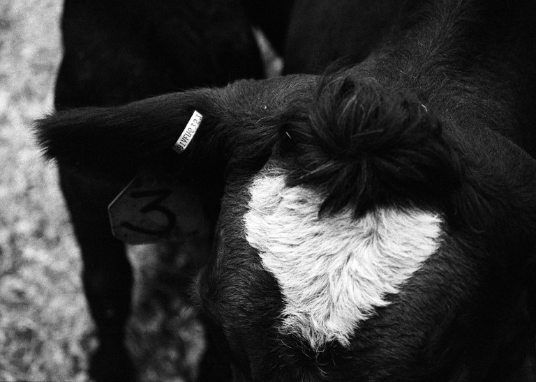 9918 HP51600 FM2 55Micro 005-Edit