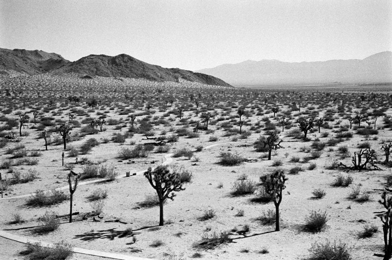 11318 HP5 R3M A50 22-Edit