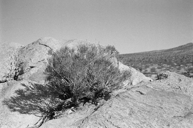 11318 HP5 R3M A50 25-Edit