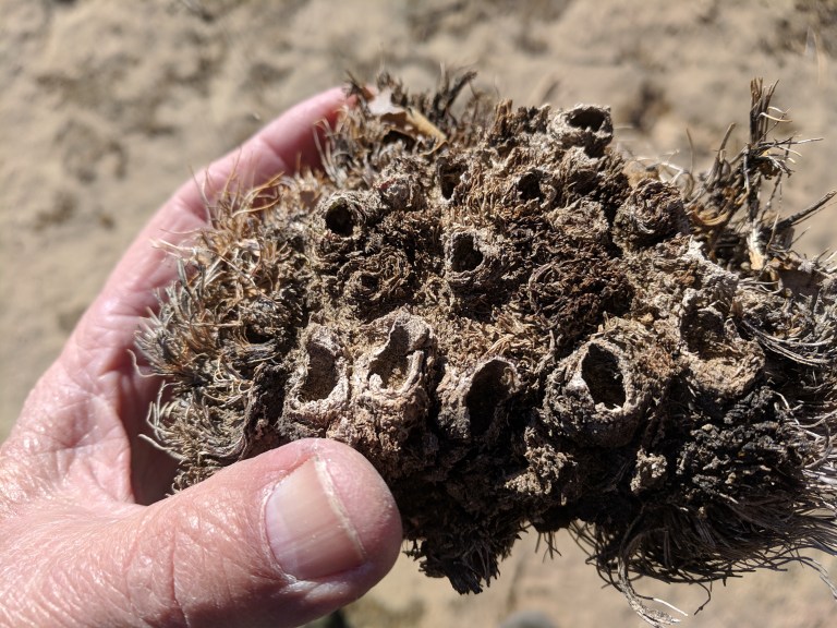 Saddleback State Park 1