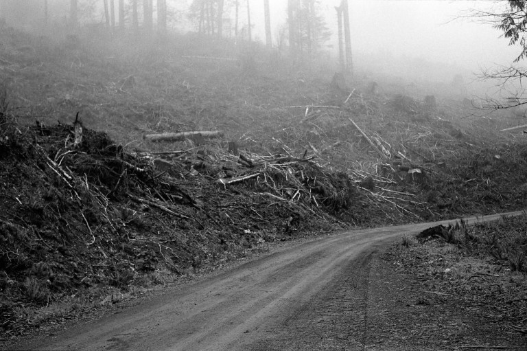 121318 R4M 7A CapForest HP5800 429-Edit