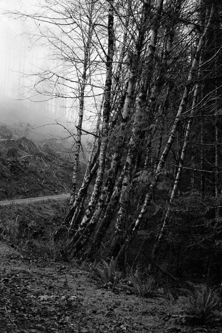 121318 R4M 7A CapForest HP5800 431-Edit.JPG