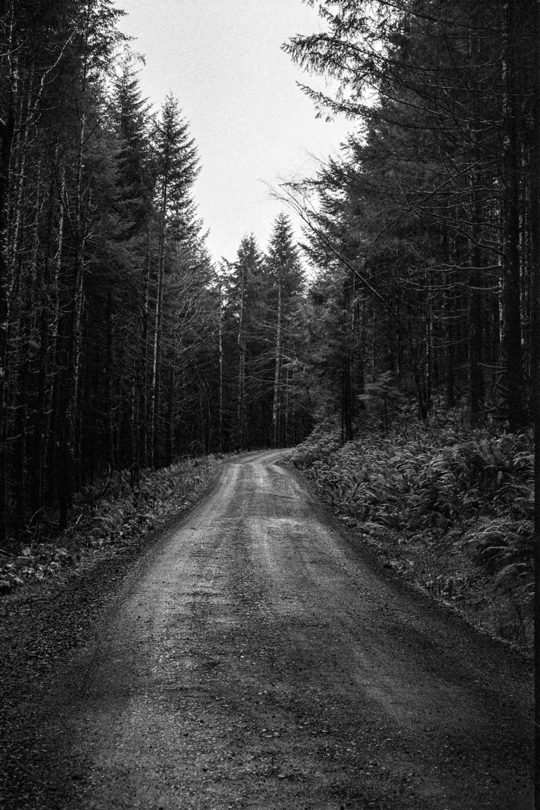 121318 R4M 7A CapForest HP5800 435