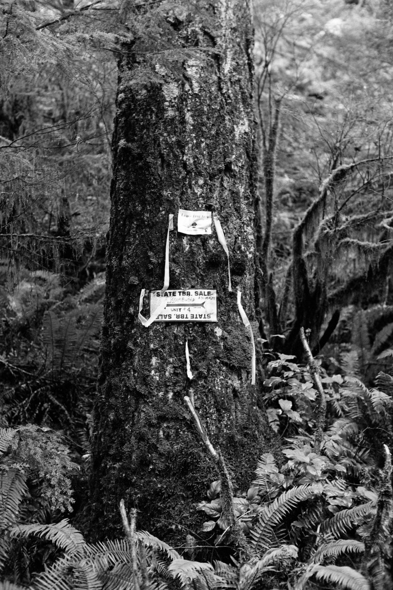 121318 R4M 7A CapForest HP5800 440-Edit-Edit