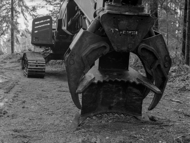 11219 645 fomopan maytown 930-edit