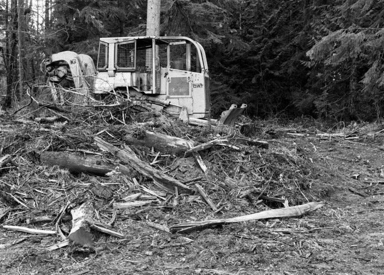 11219 645 fomopan maytown 935-edit