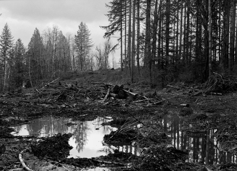 11219 645 fomopan maytown 936-edit