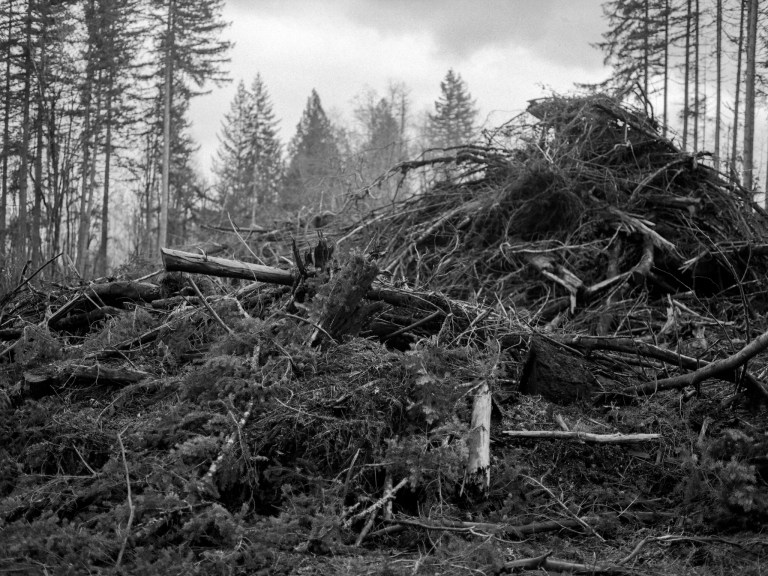 11219 645 fomopan maytown 938-edit