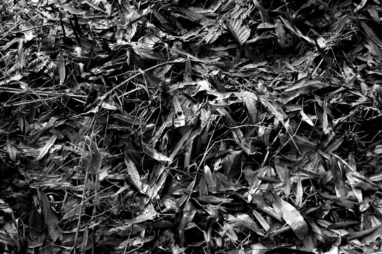 121518 EP R3M50S Oly HP5 465-Edit