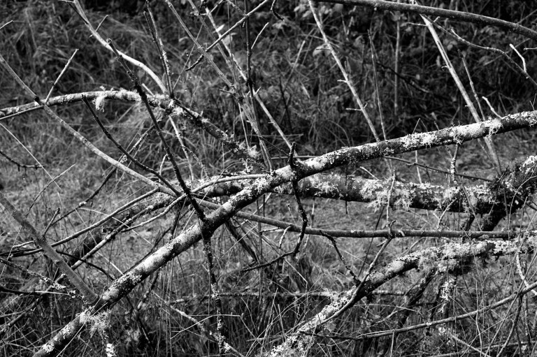 121518 EP R3M50S Oly HP5 469-Edit