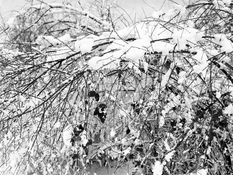 2719 HP5800 645 75 OLYMPIA 216-Edit