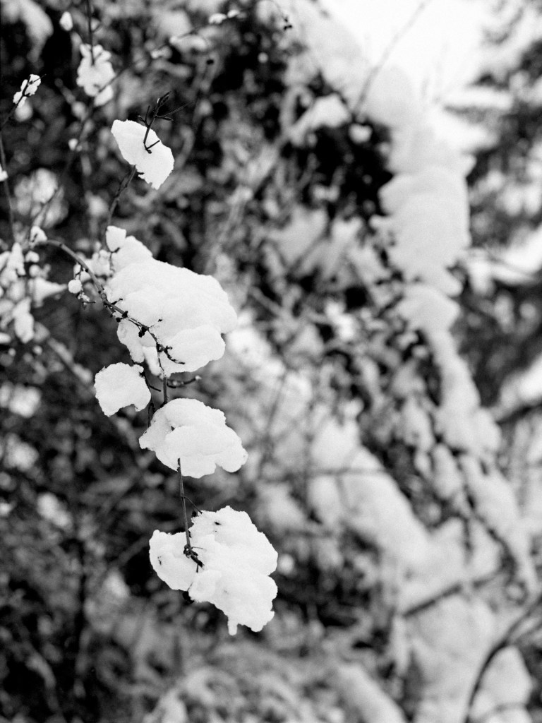 2719 HP5800 645 75 OLYMPIA 220-Edit