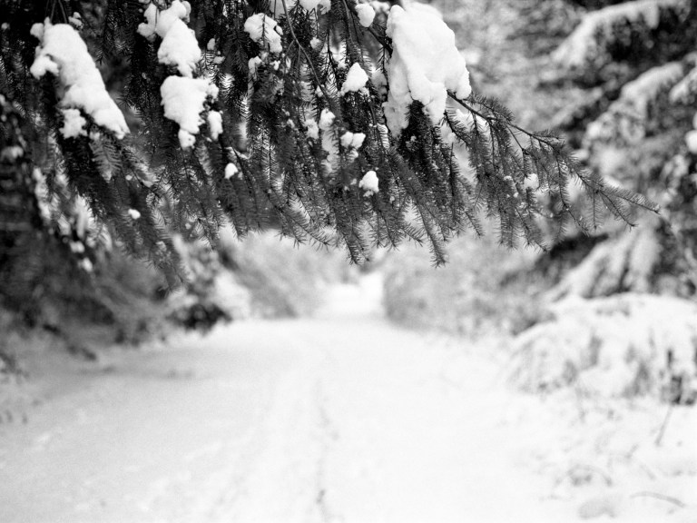 2719 HP5800 645 75 OLYMPIA 221-Edit