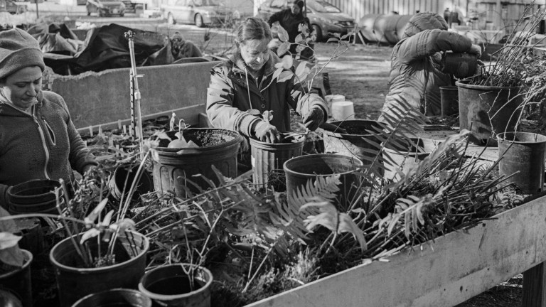 3119 TMY400 F4 35D XE 012-Edit