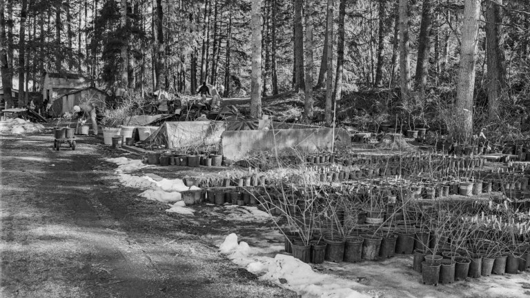 3119 TMY400 F4 35D XE 025