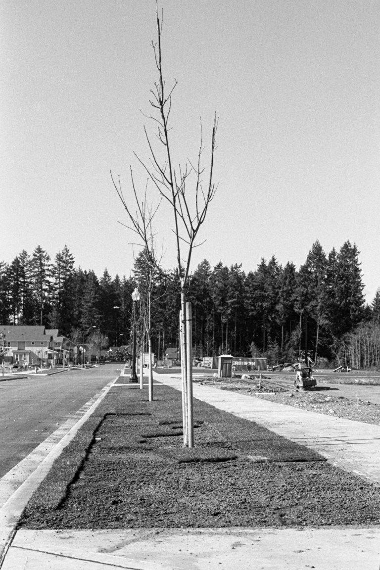 3419 New Topographics pcnw 501-Edit