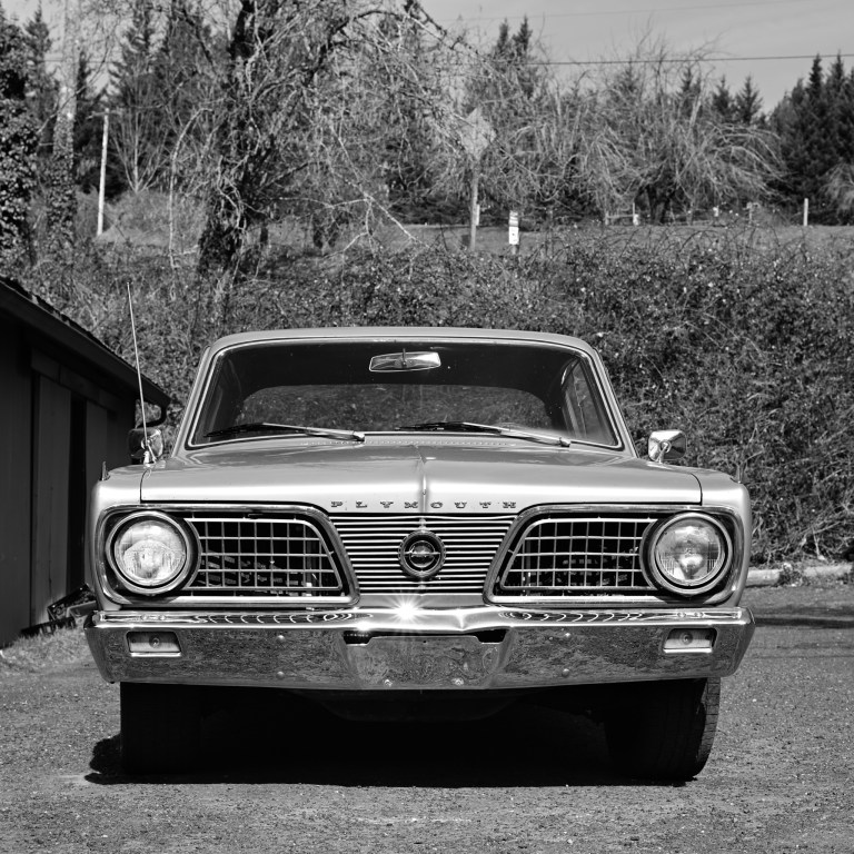 Yakima 319 Z6 _051-2