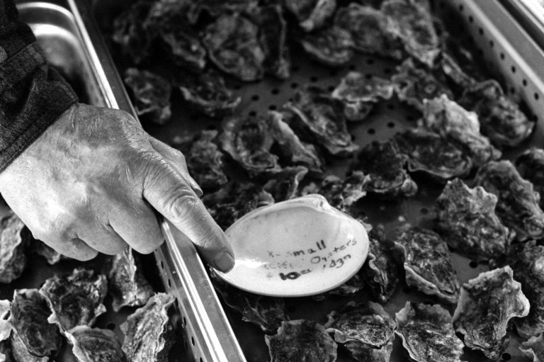 4119 HP5800 Olympia Market 859-Edit