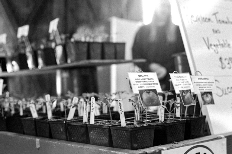 4119 HP5800 Olympia Market 876-Edit