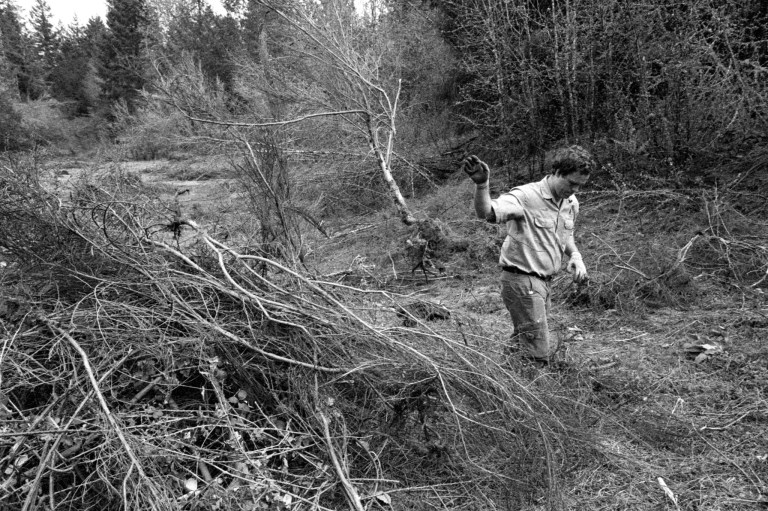 41719 LBA Park P3200 263